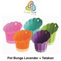 images/kategori_produk/goldenring/cleaning_outdoor/GR_POT_LAVENDER__TATAKAN.jpg