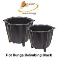 images/kategori_produk/plus/cleaning_outdoor/P_BUNGA_BELIMBING_BLACK.jpg