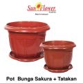 images/kategori_produk/sunflower/cleaning_outdoor/SF_POT_BUNGA_SAKURA.jpg